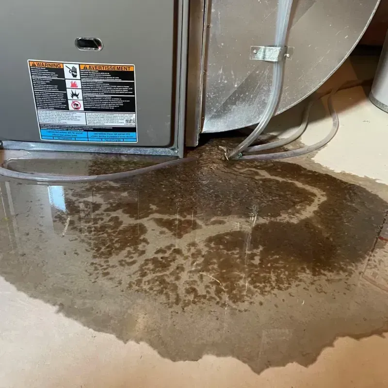 Appliance Leak Cleanup in Marvin, NC